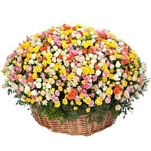 Премиум букет из: Розы #REPLACE_PRED# Рычково